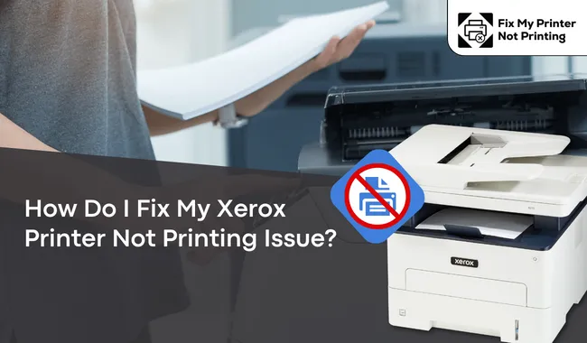 How Do I Fix My Xerox Printer Not Printing Issue?